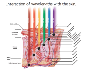 wave_lenght_interaction_skin